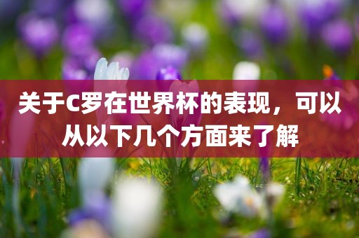 关于C罗在世界杯的表现，可以从以下几个方面来了解漯河市盈旭机械设备有限公司