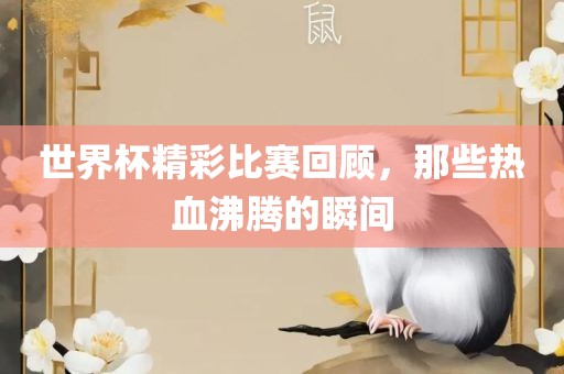 世界杯精彩比赛回顾，那些热血沸腾的瞬间