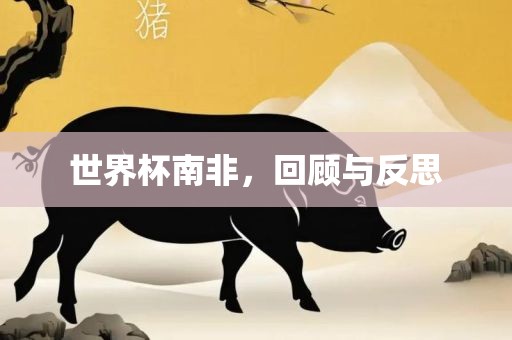 世界杯南非，回顾与反思