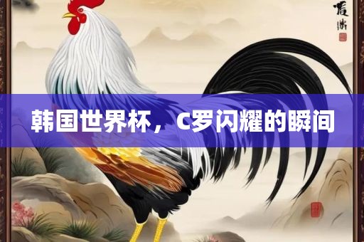 韩国世界杯，C罗闪耀的瞬间