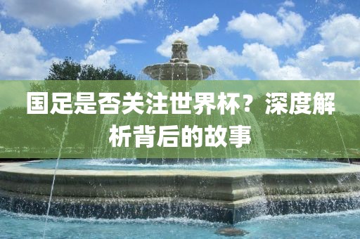 国足是否关注世界杯？深度解析背后的故事