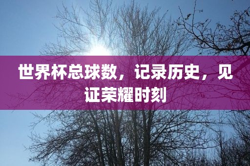 世界杯总球数，记录历史，见证荣耀时刻