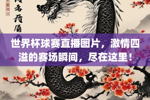 世界杯球赛直播图片，激情四溢的赛场瞬间，尽在这里！
