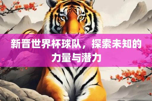 新晋世界杯球队，探索未知的力量与潜力