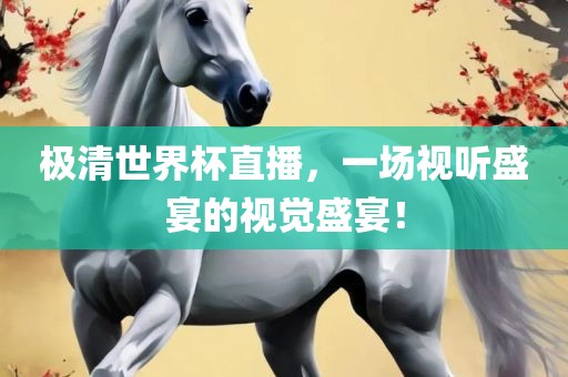 极清世界杯直播，一场视听盛宴的视觉盛宴！