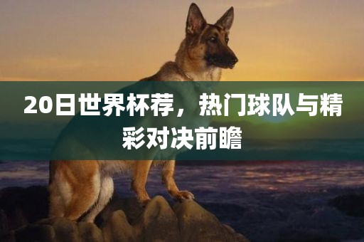 20日世界杯荐，热门球队与精彩对决前瞻