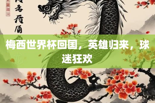梅西世界杯回国，英雄归来，球迷狂欢