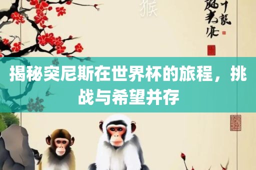揭秘突尼斯在世界杯的旅程，挑战与希望并存