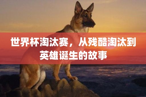 世界杯淘汰赛，从残酷淘汰到英雄诞生的故事