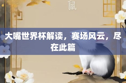 大嘴世界杯解读，赛场风云，尽在此篇