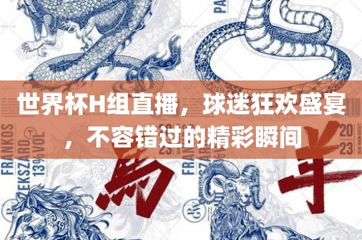 世界杯H组直播，球迷狂欢盛宴，不容错过的精彩瞬间