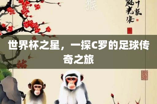 世界杯之星，一探C罗的足球传奇之旅