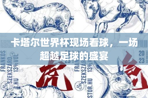 卡塔尔世界杯现场看球，一场超越足球的盛宴