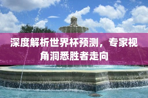 深度解析世界杯预测，专家视角洞悉胜者走向