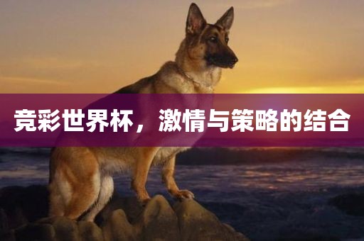 竞彩世界杯，激情与策略的结合