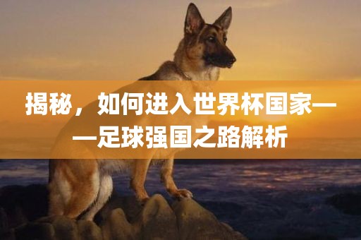 揭秘，如何进入世界杯国家——足球强国之路解析