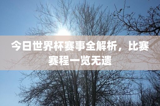今日世界杯赛事全解析，比赛赛程一览无遗