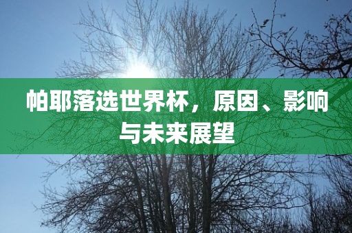 帕耶落选世界杯，原因、影响与未来展望