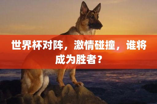 世界杯对阵，激情碰撞，谁将成为胜者？