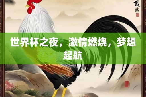 世界杯之夜，激情燃烧，梦想起航