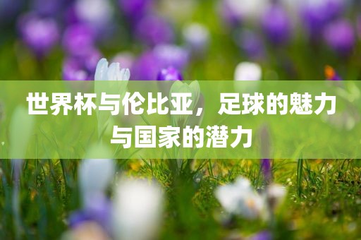 世界杯与伦比亚，足球的魅力与国家的潜力漯河市盈旭机械设备有限公司