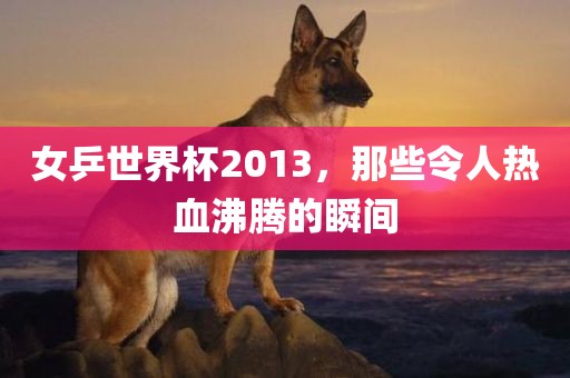 女乒世界杯2013，那些令人热血沸腾的瞬间