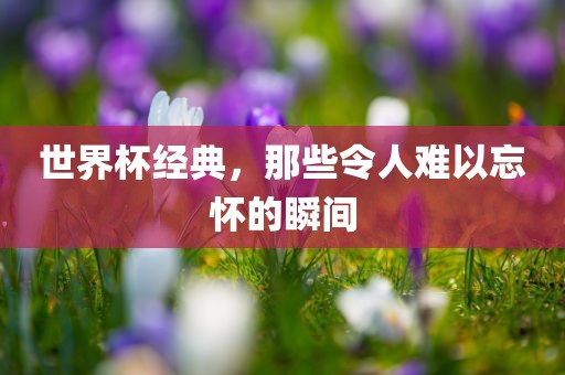 世界杯经典，那些令人难以忘怀的瞬间
