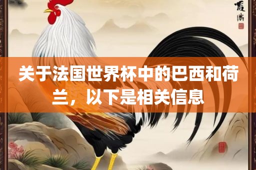 关于法国世界杯中的巴西和荷兰，以下是相关信息