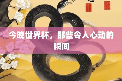 今晚世界杯，那些令人心动的瞬间
