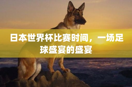 日本世界杯比赛时间，一场足球盛宴的盛宴漯河市盈旭机械设备有限公司