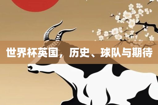 世界杯英国，历史、球队与期待