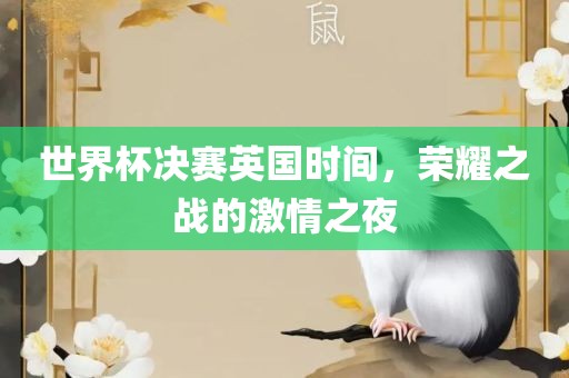 世界杯决赛英国时间，荣耀之战的激情之夜
