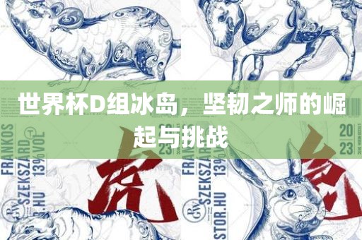 世界杯D组冰岛，坚韧之师的崛起与挑战