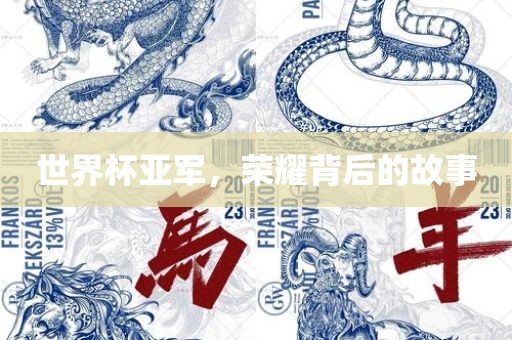 世界杯亚军，荣耀背后的故事