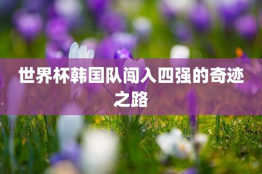 世界杯韩国队闯入四强的奇迹之路