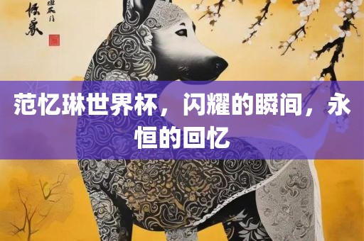 范忆琳世界杯，闪耀的瞬间，永恒的回忆