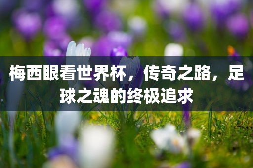 梅西眼看世界杯，传奇之路，足球之魂的终极追求