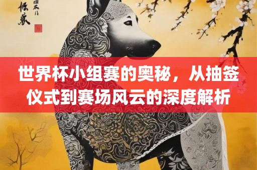 世界杯小组赛的奥秘，从抽签仪式到赛场风云的深度解析