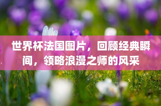 世界杯法国图片，回顾经典瞬间，领略浪漫之师的风采