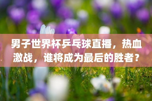 男子世界杯乒乓球直播，热血激战，谁将成为最后的胜者？