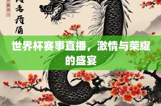 世界杯赛事直播，激情与荣耀的盛宴