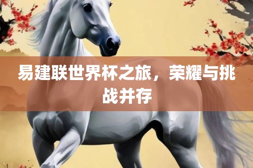易建联世界杯之旅，荣耀与挑战并存