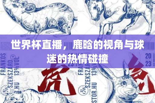 世界杯直播，鹿晗的视角与球迷的热情碰撞