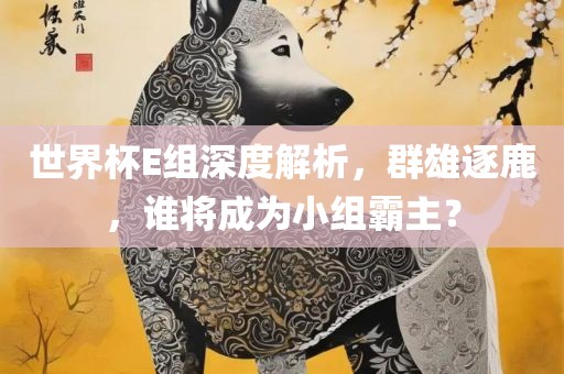 世界杯E组