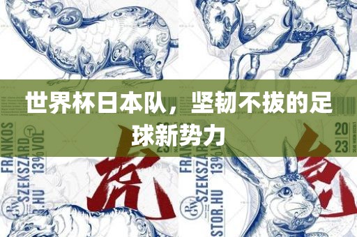 世界杯日本队，坚韧不拔的足球新势力