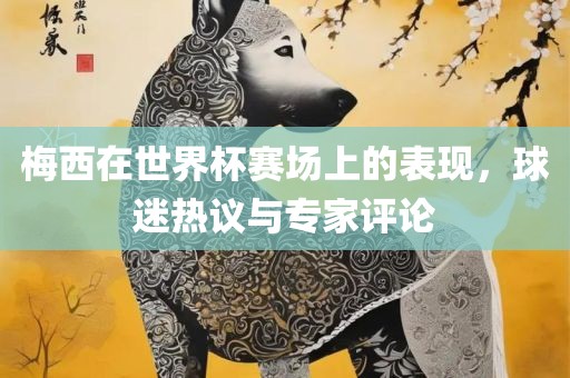 梅西在世界杯赛场上的表现，球迷热议与专家评论