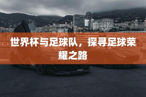 世界杯与足球队，探寻足球荣耀之路