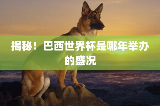 揭秘！巴西世界杯是哪年举办的盛况