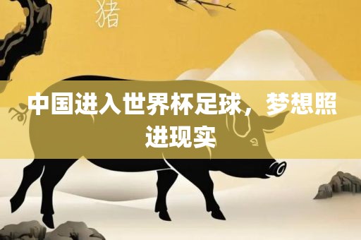 中国进入世界杯足球，梦想照进现实