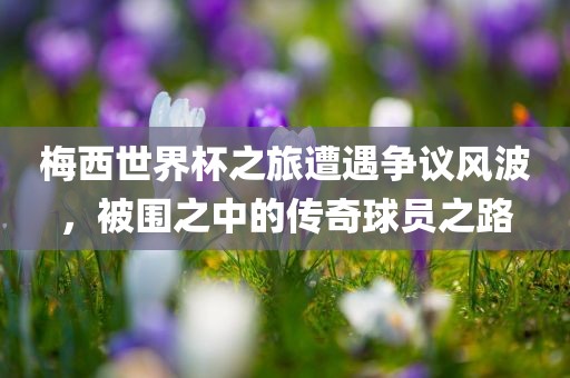 susihan 第2页